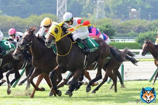 \u246aシェーンプリマー 永野 \u246bブーケファロス 菅原明 \u246cアスクドリームモア 岩田康 \u246dヤクシマ 岩田望 \u246eノーブルラン 津村 \u246fスピードオブライト 石川 \u2470ロッソランパンテ 木幡巧 \u2471ロンドンプラン 松山 #競馬  #keiba #京王杯2歳S