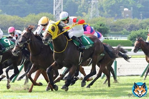 \u246aシェーンプリマー 永野 \u246bブーケファロス 菅原明 \u246cアスクドリームモア 岩田康 \u246dヤクシマ 岩田望 \u246eノーブルラン 津村 \u246fスピードオブライト 石川 \u2470ロッソランパンテ 木幡巧 \u2471ロンドンプラン 松山 #競馬  #keiba #京王杯2歳S