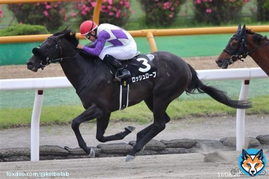 【小倉・門司S】 1着ロッシュローブ 浜中 2着アラジンバローズ 西村淳 3着ブリッツファング 秋山 今日初ブリンカーのロッシュローブが、先に抜け出したアラジンバローズを交わし1着！ #競馬 #ロッシュローブ