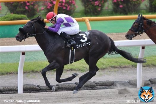 【小倉・門司S】 1着ロッシュローブ 浜中 2着アラジンバローズ 西村淳 3着ブリッツファング 秋山 今日初ブリンカーのロッシュローブが、先に抜け出したアラジンバローズを交わし1着！ #競馬 #ロッシュローブ