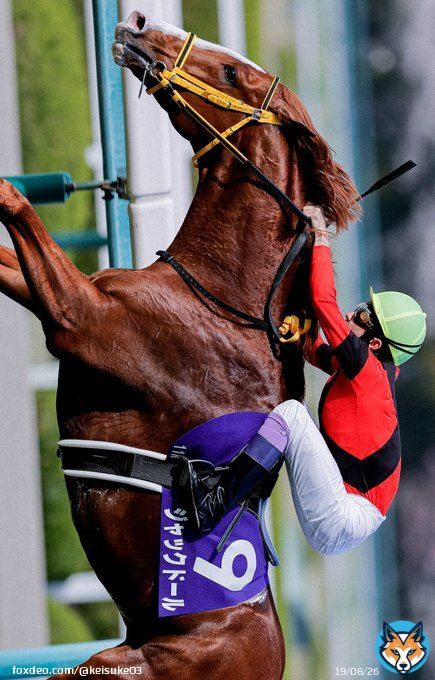 ジャックドール&times;武豊騎手 実況でも言っていた通りまさに仁川のターフに金色の春風だったな。 そしてファンからは令和のサイレンススズカと呼ばれた&hellip;