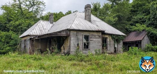 I wanted to hear her story.  She wasn't talking... #abandoned #abandonedhouses #abandonedfarm #rural #houses #picoftheday #PHOTOS #photooftheday #photography #photographyislife #photographylovers #backroadsrunning #EastTN #Tennessee #freelancer