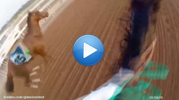 WOW This is horsemanship level @FrusiyaClub