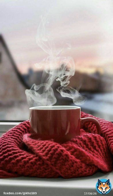 ' Private life always wins . '   #يحدث_الان