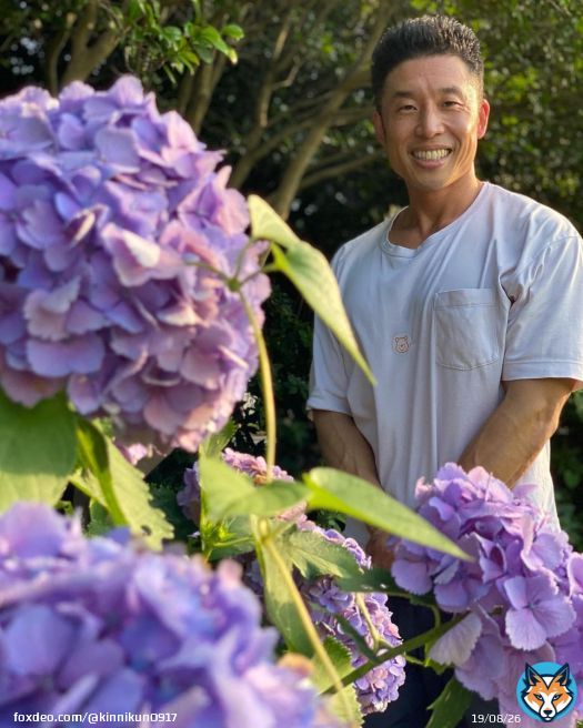 関東はもう梅雨明けでしょうね。 という事で紫陽花といろいろな写真です。 1、子供会のご婦人風 2、やる気のある新入社員風 3、怖い体育の先生風 4、10代最後の一枚風 お楽しみくださいませ。  パワー なかやまきんに君