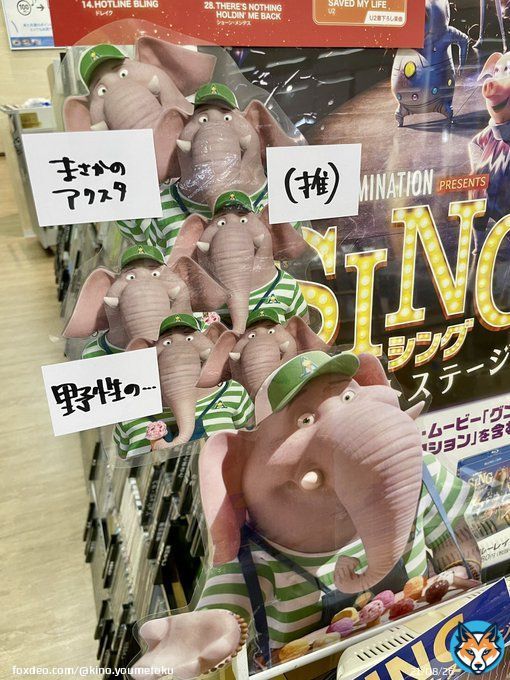 『#SING／#シングネクストステージ』Blu-ray&DVD大好評発売中当店コーナーでは #アルフォンゾ 増殖中  期間限定10%OFF先着特典としてビッグサイズのショッピングバッグもプレゼント中  ご自宅で極上のライブ体験を  #SixTONES #ジェシー #Bz #稲葉浩志 #スキマスイッチ #BiSH #MISIA