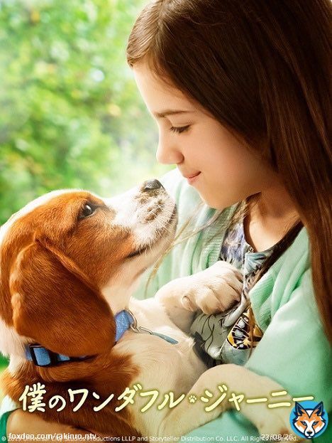 「君の名は。」ご覧頂きありがとうございました  来週は「僕のワンダフルジャーニー」 その犬は、何度でも生まれ変わる バラバラに離れた家族をひとつにするために&hellip; 犬と人との心あたたまる感動作
