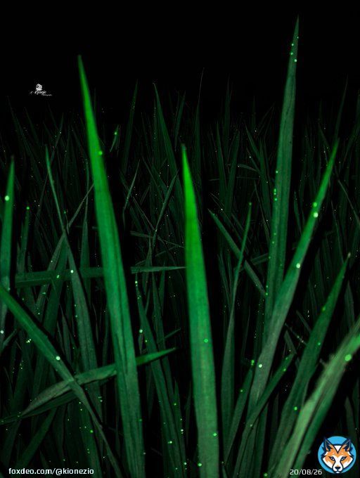 Field  Photography &middot; &middot; #korn #photography #fieldy #photographysouls #fieldykorn #photographylovers #brianheadwelch #photographyislife #jonathandavis #photographylover #field #photographyislifee #rayluzier #photographyeveryday #nature #photographer #fieldhockey #photooftheday