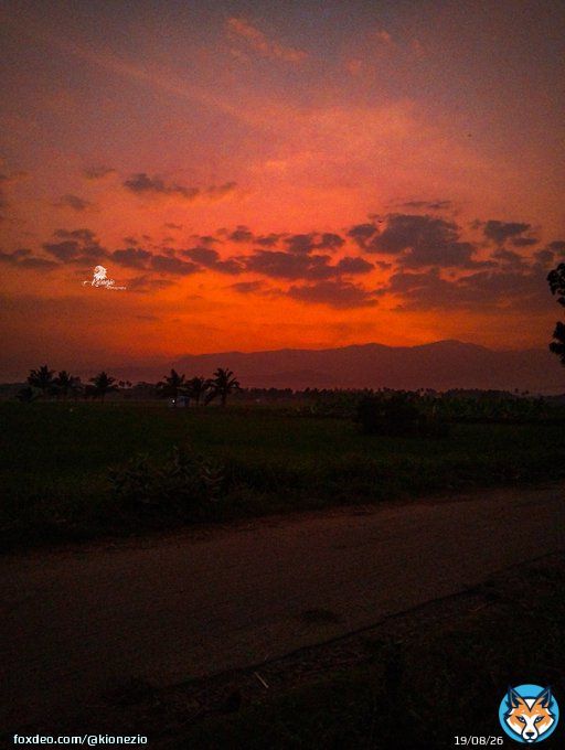 Sunset  Photography &middot; &middot; &middot; #sunset #photography #sunset_pics #photographysouls #sunsets #photographylovers #sunset_vision #photographyislife #sunset_ig #photographylover #sunset_stream #photographyislifee #sky #photographyeveryday#sunset_madness