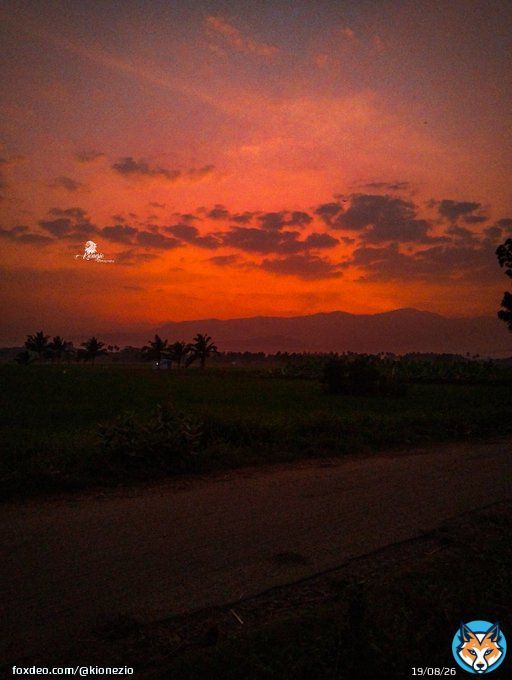 Sunset  Photography &middot; &middot; &middot; #sunset #photography #sunset_pics #photographysouls #sunsets #photographylovers #sunset_vision #photographyislife #sunset_ig #photographylover #sunset_stream #photographyislifee #sky #photographyeveryday#sunset_madness