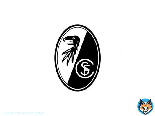 Aus der Bundesliga haben (nach aktuellem Stand), diese 4 Teams gegen einen Investoren Einstieg bei der DFL gestimmt
