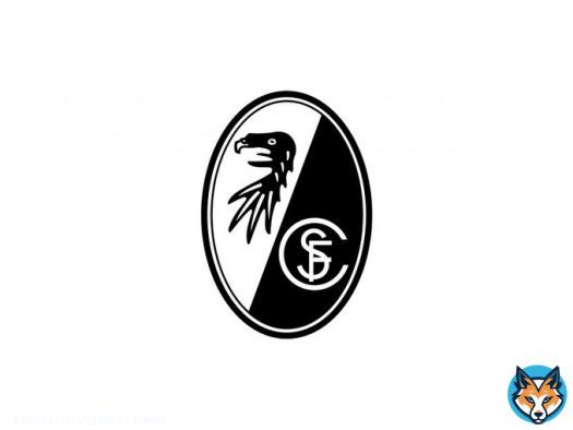 Aus der Bundesliga haben (nach aktuellem Stand), diese 4 Teams gegen einen Investoren Einstieg bei der DFL gestimmt