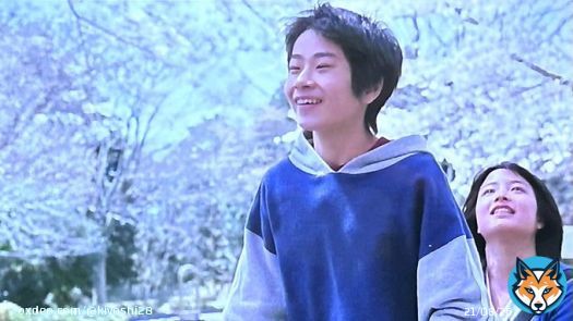 『海街diary』での前田旺志郎くんと広瀬すずちゃんの自転車で桜のトンネルを通るシーンいいねぇ  そう言えば、この映画を観てYouTubeのタイトル『高槻ダイアリー』にしたなぁ  #海街ダイアリー #広瀬すず #綾瀬はるか #長澤まさみ #前田旺志郎 #海街DIARY