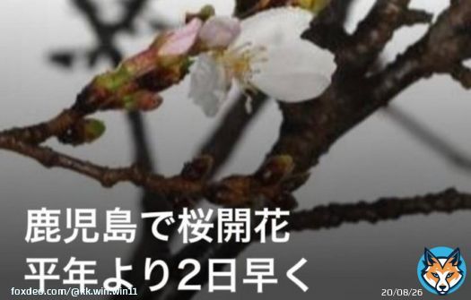 おはようございます 昨日のサッカー サッカー日本代表引き分け スピッツメジャーデビュー32周年 おめでとうございます 各地域ではイベントあるけど雨天のため中止あるのでは 桜開花宣言でも今日は雨 雨の週末ですが素敵な1日を 電気記念日 自愛の日 #おは戦50325md