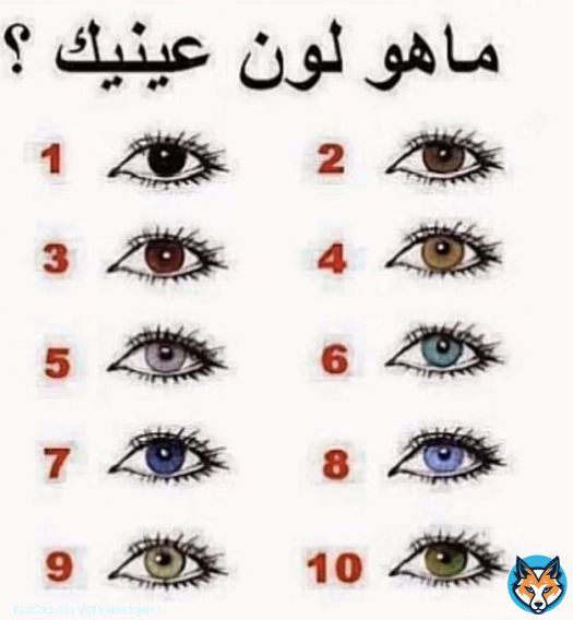 شاركونا بلون عيونكم  انا رقم 8 وانتوا ؟؟