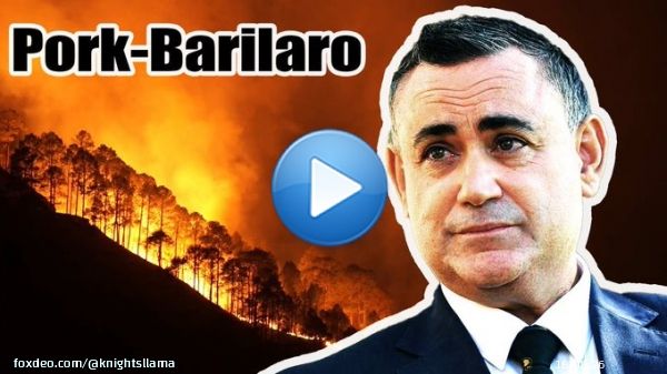 Pork Barrelling FLOWS through the NSW Coalition's veins.  Not even disaster relief for deadly bushfires is out of their reach.   #auspol   #nswpol  They just aren't great at hiding it (*cough* John Barilaro).  Full YouTube Vid:
