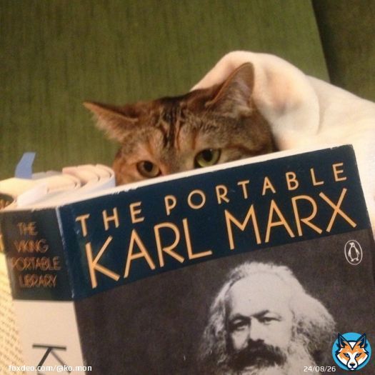 another day, another cat... #cat_of_the_day #cats #CatsOfTwitter #1May #1Mai #1мая #первомай