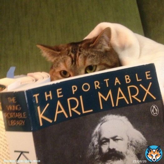 another day, another cat... #cat_of_the_day #cats #CatsOfTwitter #1May #1Mai #1мая #первомай