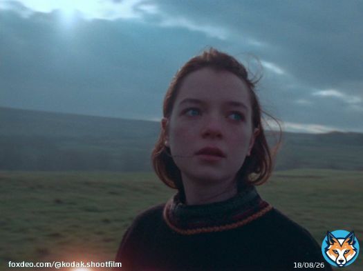 Sudden Light   Director: Sophie Littman DP: @nickmorrisdop   An Official Selection of short films in Competition at the @Festival_Cannes for #Cannes2020.   #ShotOnFilm #16mm