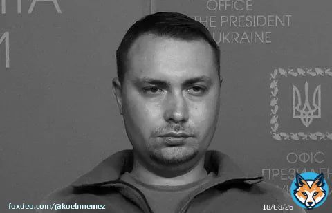 Глава ГУР Украины Буданов умер, не приходя в сознание, &ndash; депутат Верховной Рады Илья Кива  По словам украинского политика, данная информация получена из посольства Украины в Германии.