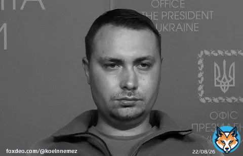 Глава ГУР Украины Буданов умер, не приходя в сознание, &ndash; депутат Верховной Рады Илья Кива  По словам украинского политика, данная информация получена из посольства Украины в Германии.