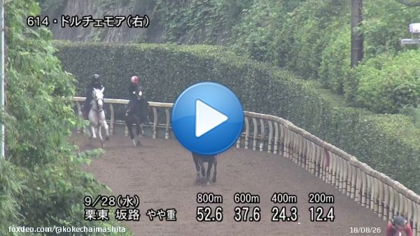 【#須貝厩舎】 G1馬2頭の豪華すぎる坂路競演  #ドルチェモア　前走サウジアラビアRC一週前追いきりでソダシと併入  #ソダシ の調教パートナー #朝日杯フューチュリティステークス 制す  2頭の共通点 ・スタート抜群で前目からいい脚が使える ・無傷の3連勝、1番人気で2歳G1制覇#阪神JF #朝日杯FS
