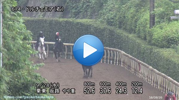 【#須貝厩舎】 G1馬2頭の豪華すぎる坂路競演  #ドルチェモア　前走サウジアラビアRC一週前追いきりでソダシと併入  #ソダシ の調教パートナー #朝日杯フューチュリティステークス 制す  2頭の共通点 ・スタート抜群で前目からいい脚が使える ・無傷の3連勝、1番人気で2歳G1制覇#阪神JF #朝日杯FS