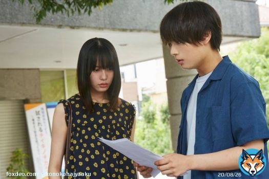 ⋱作品レビュー⋰   ╭━━━━━━━━━━━━━━╮ 　タイトルは誰のことを言って 　るのか。 　ラストで衝撃的に明かされる。  　見終わった後にアレコレと 　考えてしまった。これは巧い。 ╰━ｖ━━━━━━━━━━━━╯  シネマトゥデイ 　　-相馬学さん