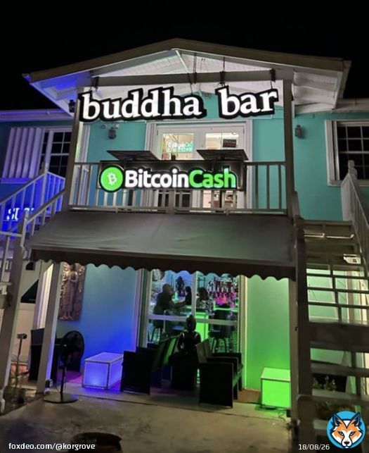 Buddha Bar in St. Kitts accepts Bitcoin Cash!   .  .  #stkitts #vacation #islandlife #bitcoincash #cryptocurrency #money #traveling #nightlife #bars