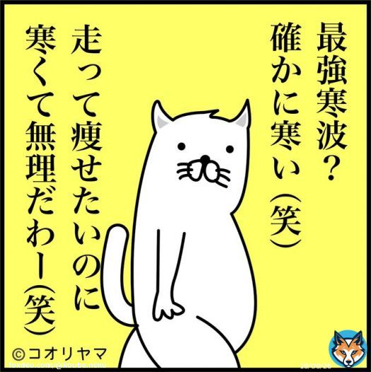 最強寒波きちゃったなー(笑)