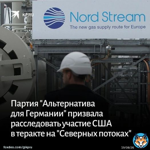 В немецкой партии ссылаются на то, что лауреат Пулитцеровской премии Сеймур Херш публично заявил, что президент США Джо Байден стоит за диверсией на &laquo;Северных потоках&raquo;:    #северный_поток #спецоперация #Байден