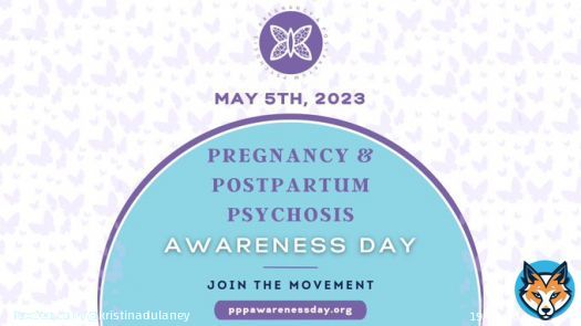 How many mothers and babies will it take?     #momsarenotimmune #postpartumpsychosis #ppp #lindsayclancy