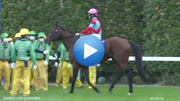 【天皇賞（秋）GⅠ】 イクイノックス(1番人気) パンサラッサ（7番人気） ダノンベルーガ(4番人気)   秋の頂上決戦を制したのは '3歳世代'イクイノックス  大逃げを見せたパンサラッサを ゴール前で捉え 春クラシックの雪辱を 秋の大舞台で晴らす  キタサンブラック産駒初のGⅠ制覇です2:28245.3K views