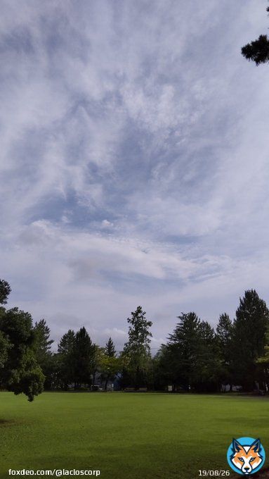 おはようございます！ 昨夜は石川県〜富山県にかけて線状降水帯が発生したとのことで、金沢の隣、津幡町周辺では大変な雨になったようです&hellip; 梅雨末期の大雨にはまだ警戒が必要ですね 今日も一日頑張りましょう！  #企業公式が毎朝地元の天気を言い合う  #企業公式相互フォロー