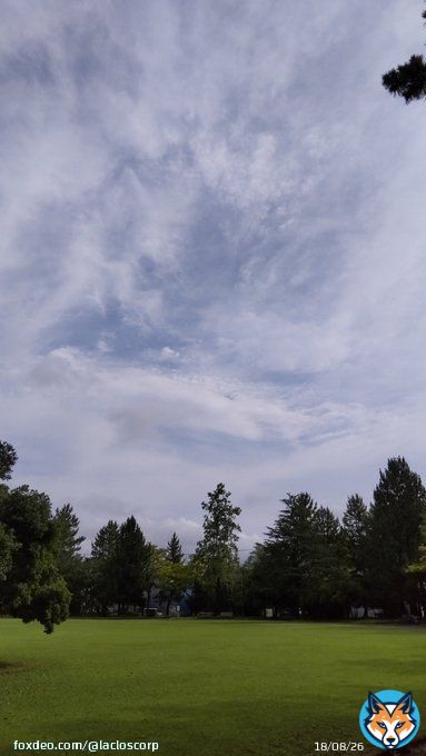 おはようございます！ 昨夜は石川県〜富山県にかけて線状降水帯が発生したとのことで、金沢の隣、津幡町周辺では大変な雨になったようです&hellip; 梅雨末期の大雨にはまだ警戒が必要ですね 今日も一日頑張りましょう！  #企業公式が毎朝地元の天気を言い合う  #企業公式相互フォロー