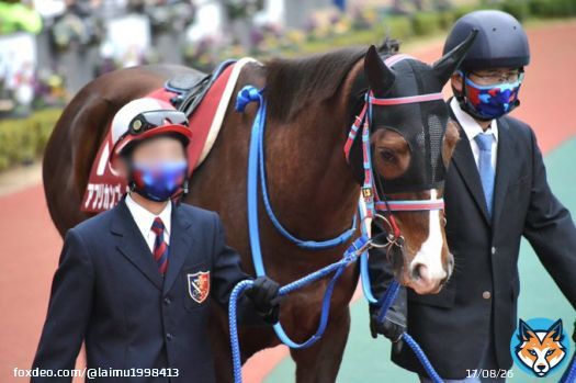 #中京11R #日経新春杯 #アフリカンゴールド 夢を見るほど 見事な逃げでした! お疲れ様! 次走も頑張れ!!!