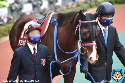 #中京11R #日経新春杯 #アフリカンゴールド 夢を見るほど 見事な逃げでした! お疲れ様! 次走も頑張れ!!!