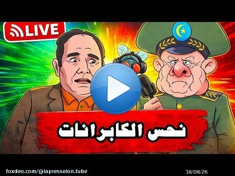 نحس الكابرانات و ذبانة الراضي الليلي فاللايف \ud83d\ude02\ud83d\ude02\ud83d\ude02