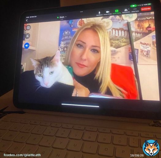 GM  We work from home, what about u guys?   #work #cat #crypto #cryptonews #ETH #bnb #Binance #catecoin #catcoin #catpay #CATEARMY #opensea #NFT #NFTs