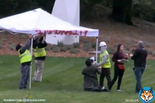 Today is the 3 year anniversary of when I put illegal aliens from Mexico  and Guatemala on Speaker of the House Nancy Pelosi’s lawn at her home in Napa Valley, California, and pitched a tent on her lawn with the illegals and claimed sanctuary. #CasaDeNancy