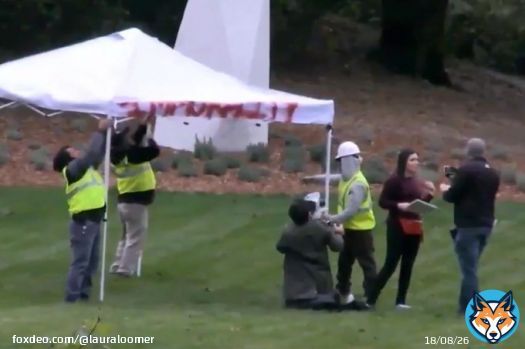 Today is the 3 year anniversary of when I put illegal aliens from Mexico  and Guatemala on Speaker of the House Nancy Pelosi&rsquo;s lawn at her home in Napa Valley, California, and pitched a tent on her lawn with the illegals and claimed sanctuary. #CasaDeNancy