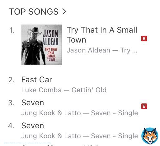 The iTunes charts have spoken - Jason Aldean's 'Try That In A Small Town' is number one.  Whenever they try and censor us, we only go stronger.  Time for CMT to get the Bud Light treatment.