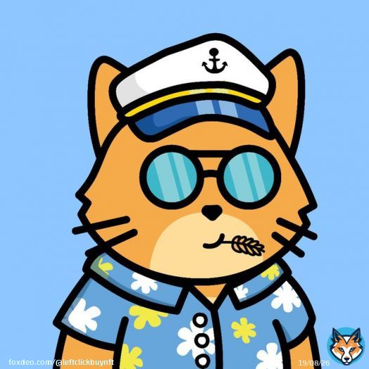 FYI I&rsquo;m now a Bitcoin maxi. @coomcats #ordinals