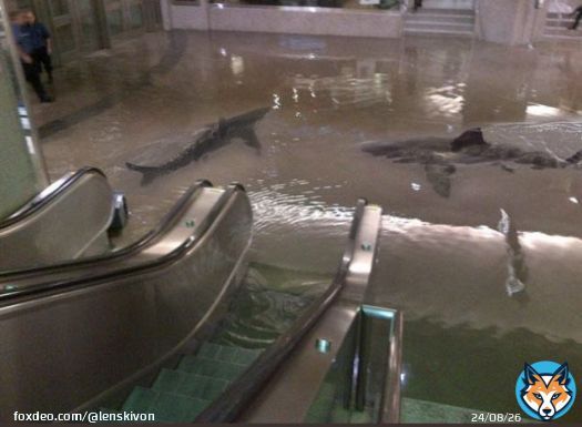 #Aquarium  #berlinaquarium  #Alexanderplatz #sealife  Leudde, was geht am U-Bahnhof Alexanderplatz