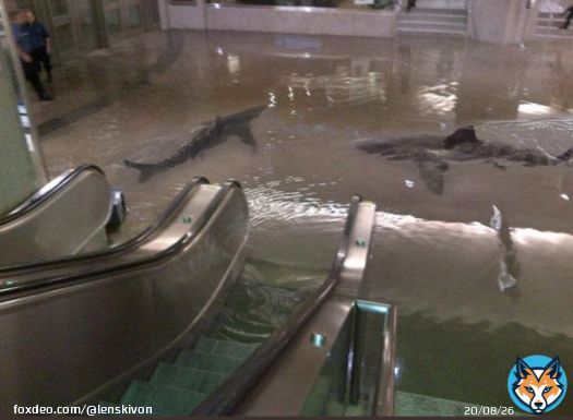 #Aquarium  #berlinaquarium  #Alexanderplatz #sealife  Leudde, was geht am U-Bahnhof Alexanderplatz