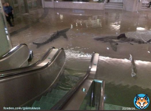 #Aquarium  #berlinaquarium  #Alexanderplatz #sealife  Leudde, was geht am U-Bahnhof Alexanderplatz