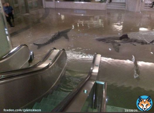 #Aquarium  #berlinaquarium  #Alexanderplatz #sealife  Leudde, was geht am U-Bahnhof Alexanderplatz