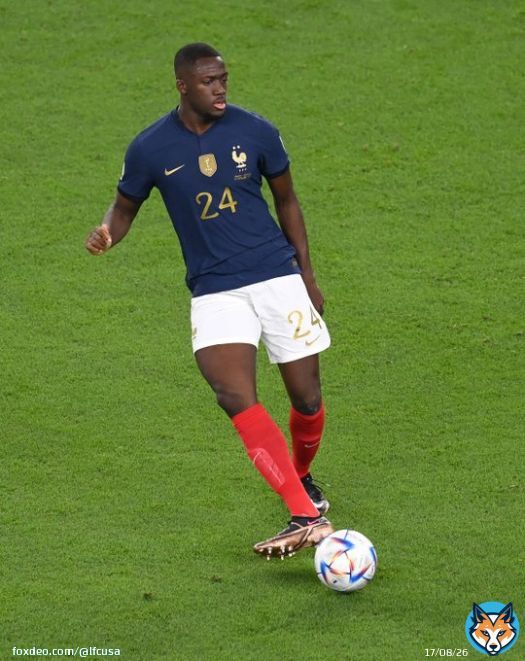 Another @equipedefrance appearance for Big Ibou   #FIFAWorldCup | #FRADAN