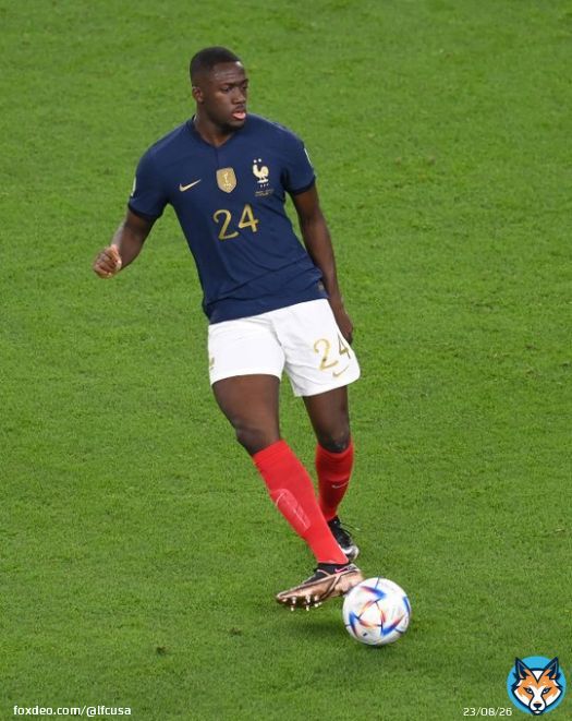 Another @equipedefrance appearance for Big Ibou   #FIFAWorldCup | #FRADAN
