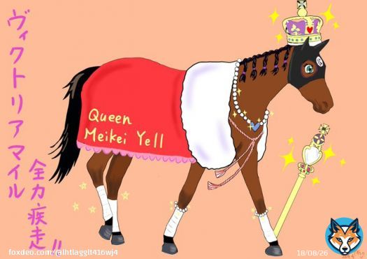 ヴィクトリアマイルを応援。エールちゃんはスタイル抜群、自力抜群。後は自分との戦い。いつか実る日がくることを祈ってます。#メイケイエール